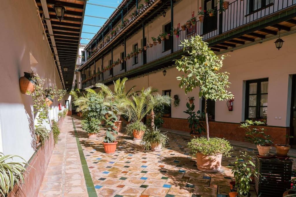 Apartamento Con Encanto En Patio Sevillano Ngoại thất bức ảnh